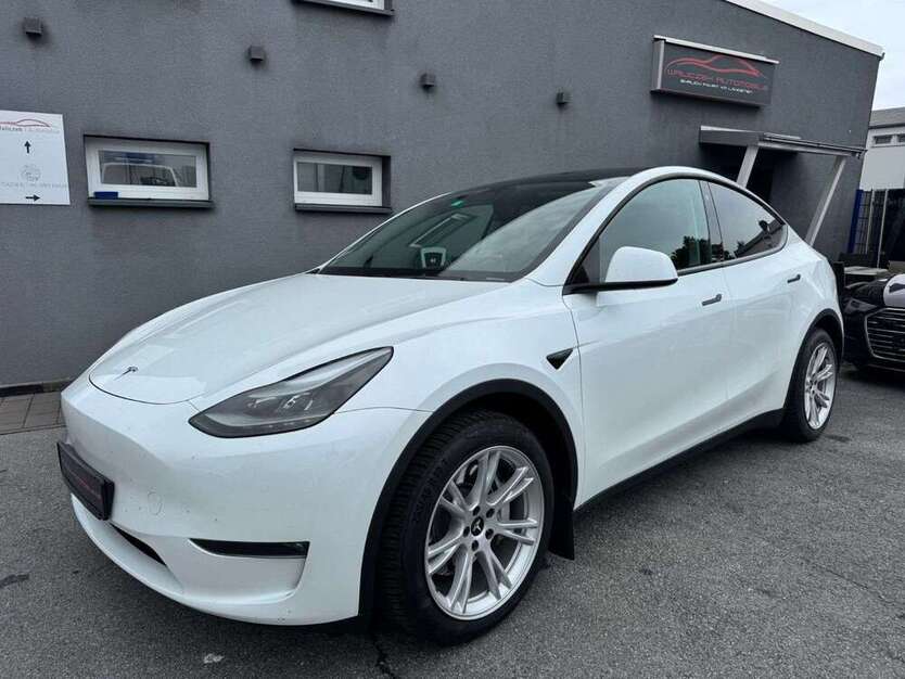 Model Y