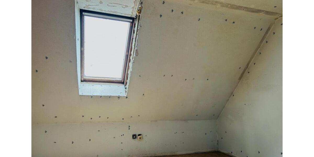 Mehrfamilienhaus, Wohnhaus Brakel - 6 Zimmer, 125 m&sup2;, 65.500&euro; | Angebot:25844801