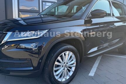Skoda Kodiaq 83.000 km 24.899 &euro; Oerlinghausen 33813