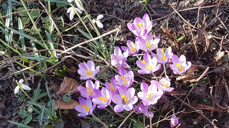 Dachgeschoßwohnung Detmold Hakedahl - 4 Zimmer, 100 m&sup2;, 800&euro; | Angebot:25371642