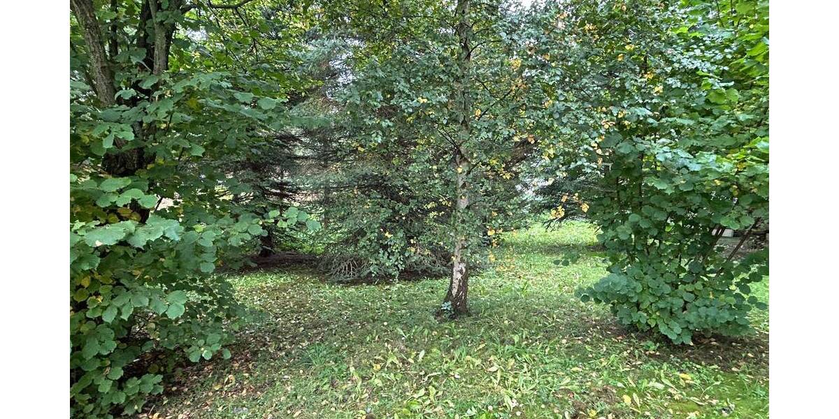 Einfamilienhaus Marsberg / Westheim Westheim - 6 Zimmer, 130 m&sup2;, 199.000&euro; | Angebot:26715368