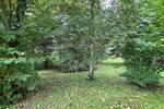 Einfamilienhaus Marsberg / Westheim Westheim - 6 Zimmer, 130 m&sup2;, 199.000&euro; | Angebot:26715368