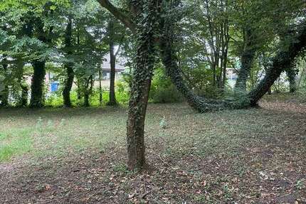 Grundstück zu verkaufen in Delbrück 249.000 € 656 m² zimmer