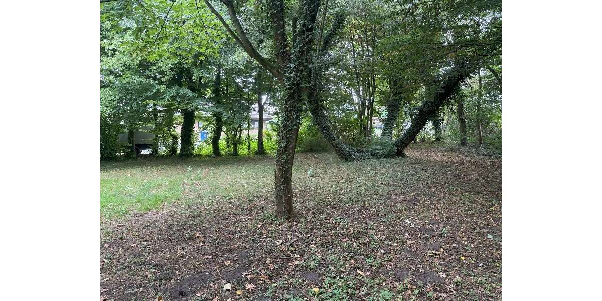 Grundstück zu verkaufen in Delbrück 249.000 € 656 m² zimmer