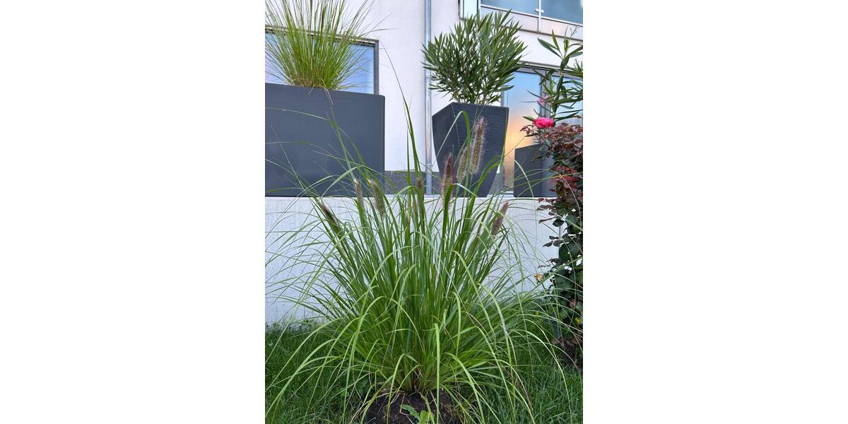 Erdgeschoßwohnung Paderborn Neuenbeken - 2 Zimmer, 90 m&sup2;, 1.130&euro; | Angebot:25806775