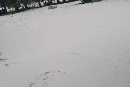 Haus in schöner Lage. Augustdorf. 5 zimmer