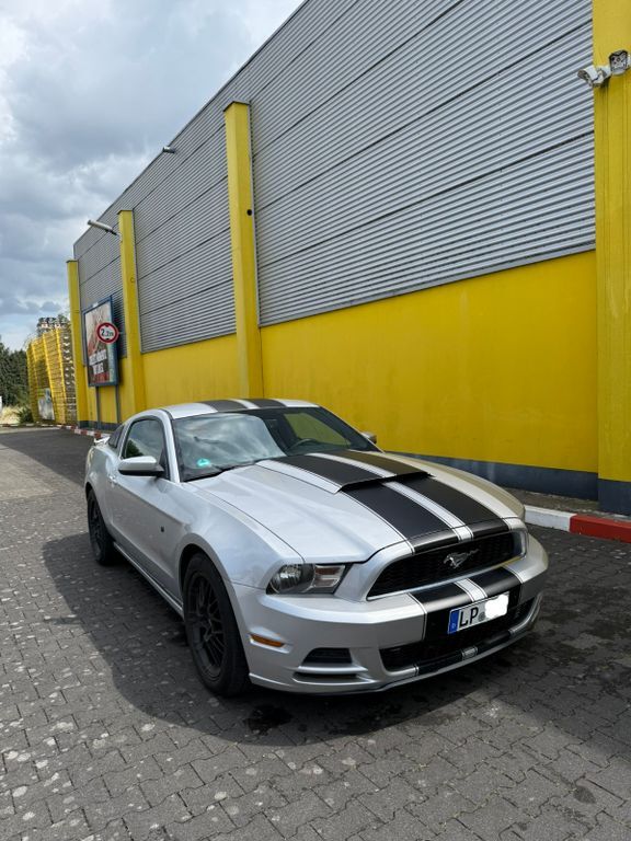 Mustang