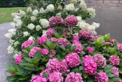 Zentrumsnah gelegene 3 Zimmerwohnung 3 zimmer