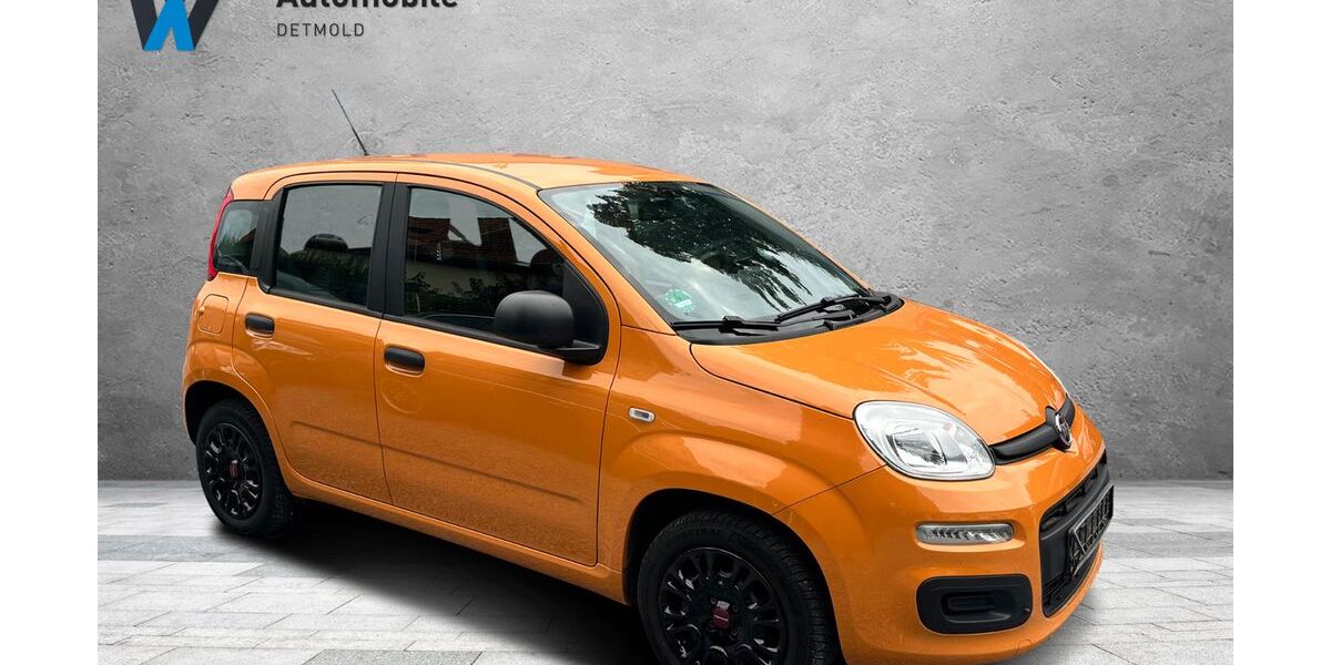 Fiat Panda 62.000 km 6.999 € Detmold 32758