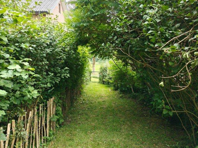 Mehrfamilienhaus, Wohnhaus Altenbeken - 9 Zimmer, 172 m&sup2;, 290.000&euro; | Angebot:27048329