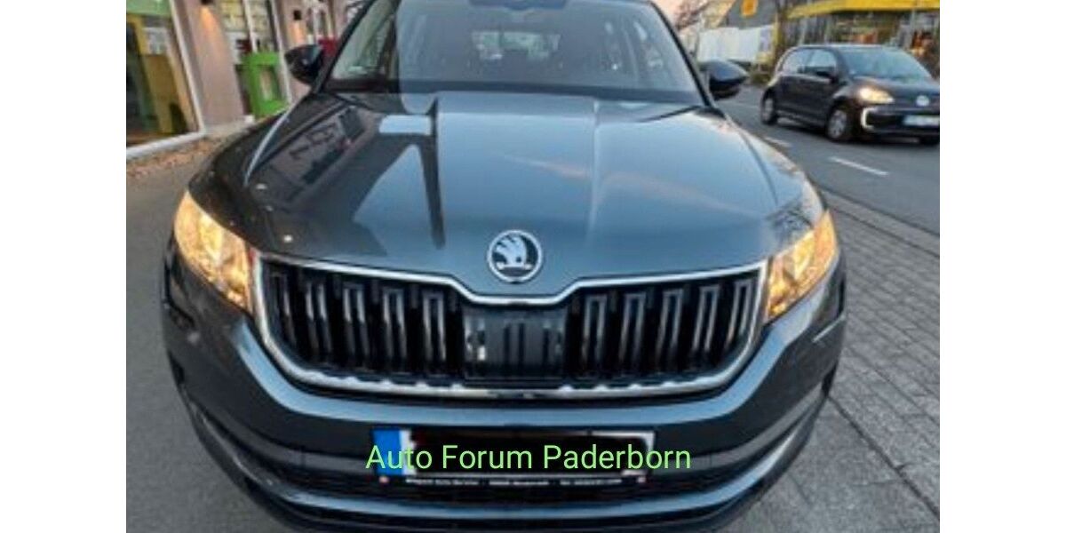 Skoda Kodiaq 160.000 km 15.499 € Paderborn 33102