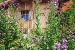 Bungalow Willebadessen - 6 Zimmer, 184 m&sup2;, 320.000&euro; | Angebot:26789816