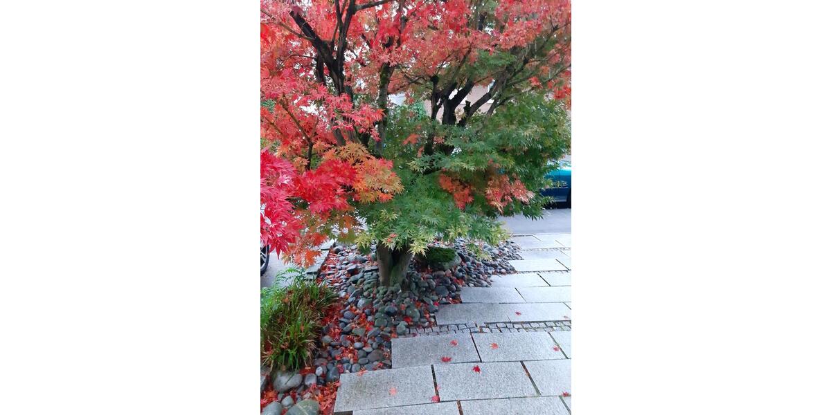 angenehme möbilierte Wohnung wohnen auf Zeit 2 zimmer