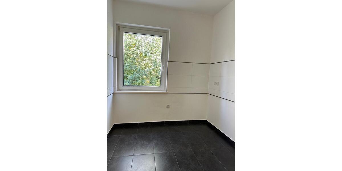 Etagenwohnung Detmold - 3 Zimmer, 53 m&sup2;, 450&euro; | Angebot:26465463