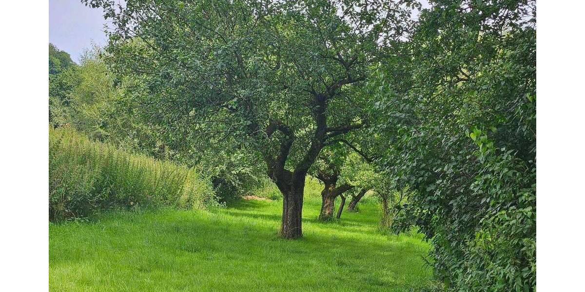 Viel Platz, idyllische Lage, gute Verkehrsanbindung !! 1 zimmer