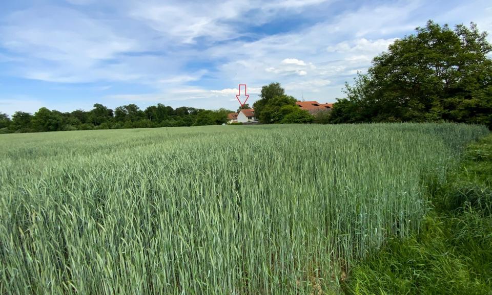 Loft - Studio - Atelier Detmold Hiddesen - 1 Zimmer, 47 m&sup2;, 450&euro; | Angebot:24691712