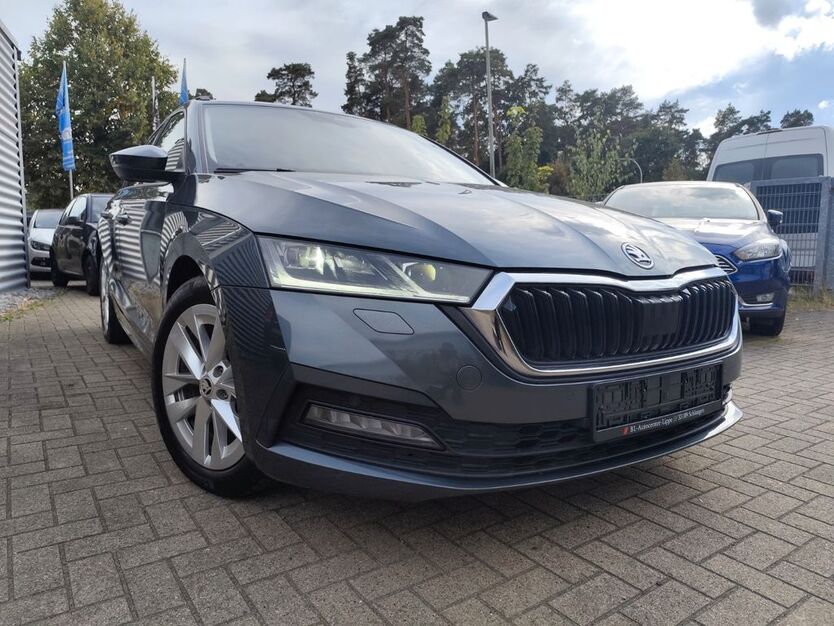 Skoda Octavia 134.496 km 18.950 € Schlangen 33189