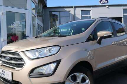 Ford EcoSport 114.991 km 11.950 &euro; Brakel 33034