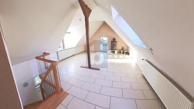 SACKGASSENLAGE NAHE PINNEICHEN PARK 11 zimmer