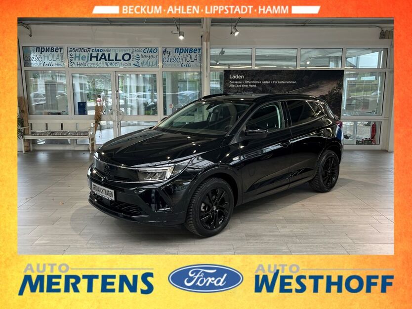Opel Grandland (X) 31.173 km 22.880 € Lippstadt 59557