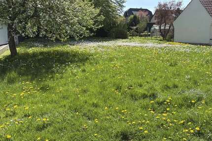 Grundstück Horn-Bad Meinberg Bad Meinberg - 120.000&euro; | Angebot:25201755