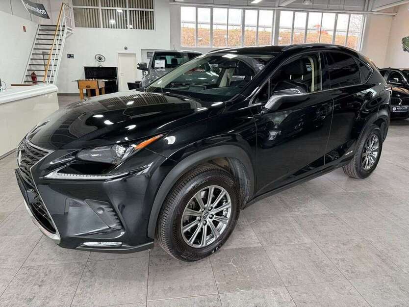 NX 300
