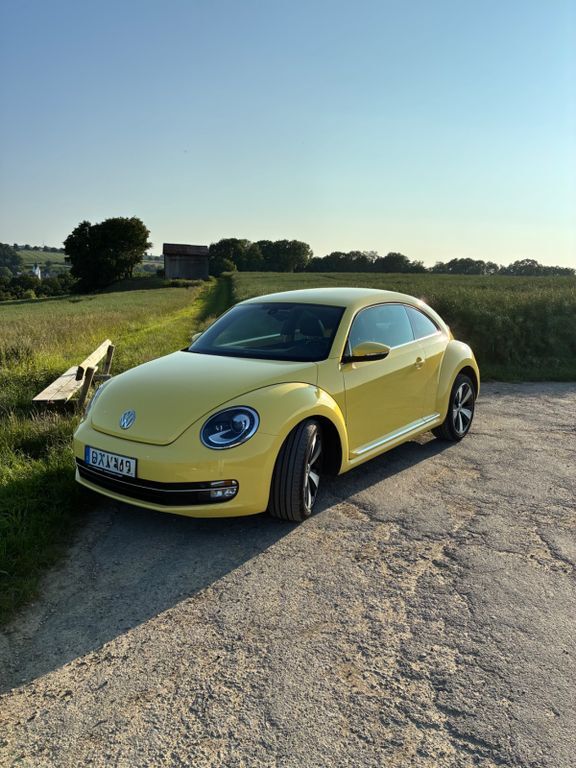Beetle