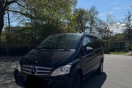 Mercedes Viano