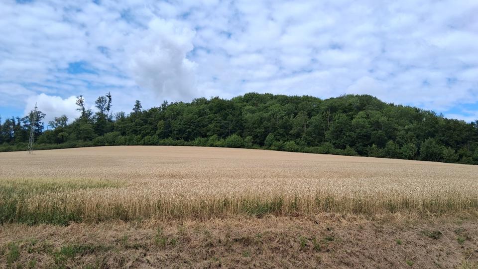 Mehrfamilienhaus, Wohnhaus Detmold Hakedahl - 10 Zimmer, 240 m&sup2;, 398.000&euro; | Angebot:25947813