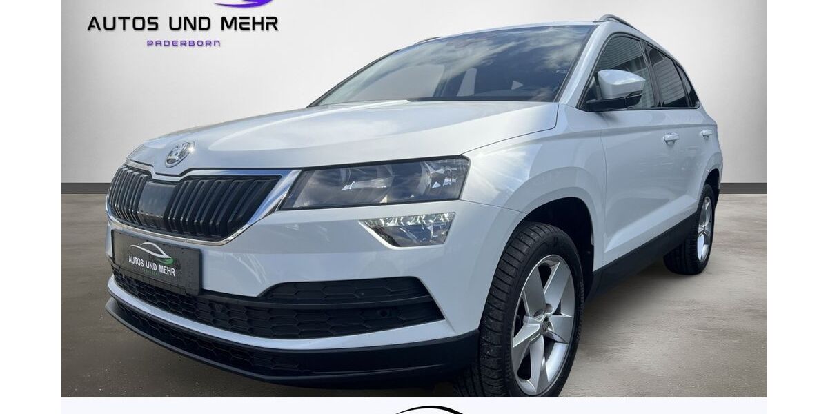 Skoda Karoq 99.000 km 20.990 &euro; Paderborn 33100