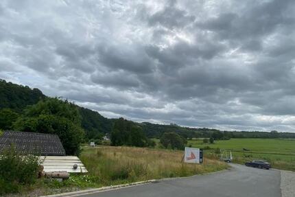 Grundstück Marsberg - 135&euro; | Angebot:14766888