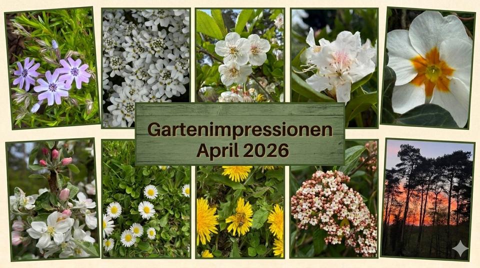 Einfamilienhaus Schloß Holte-Stukenbrock Stukenbrock - 10 Zimmer, 290 m&sup2;, 595.000&euro; | Angebot:26272206