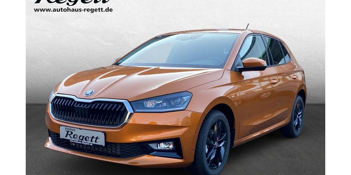 Skoda Fabia 1.571 km 28.490 € Delbrück-Westenholz 33129