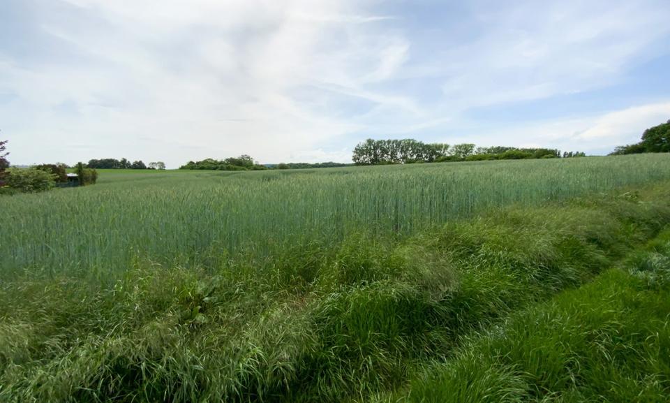 Loft - Studio - Atelier Detmold Hiddesen - 1 Zimmer, 47 m&sup2;, 450&euro; | Angebot:24691712