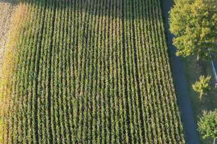 Haus Hövelhof - 5 Zimmer, 120 m&sup2;, 620.000&euro; | Angebot:25784663