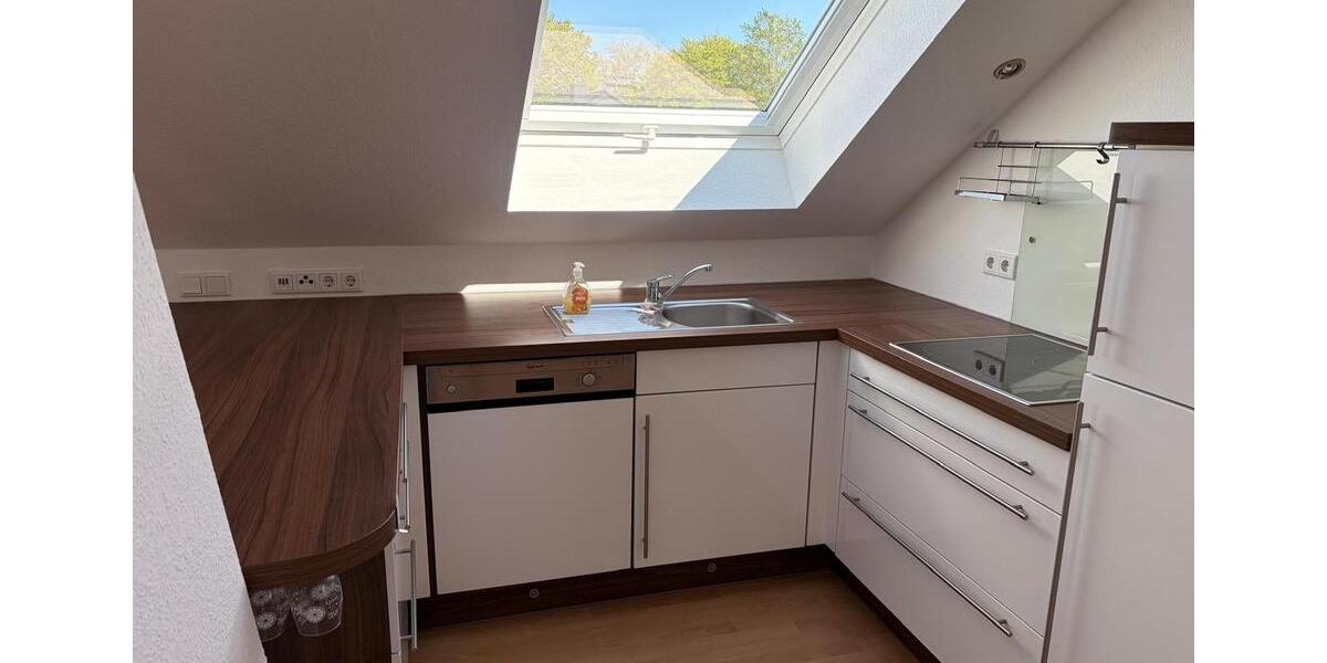 Loft - Studio - Atelier Paderborn Univiertel - 1 Zimmer, 48 m&sup2;, 670&euro; | Angebot:26429986