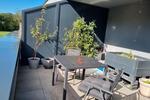 Maisonettenwohnung Delbrück - 4 Zimmer, 121 m&sup2;, 1.306&euro; | Angebot:27597444