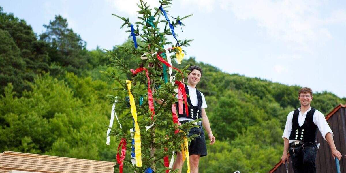 Einfamilienhaus Lichtenau - 4 Zimmer, 130 m&sup2;, 275.500&euro; | Angebot:25317881