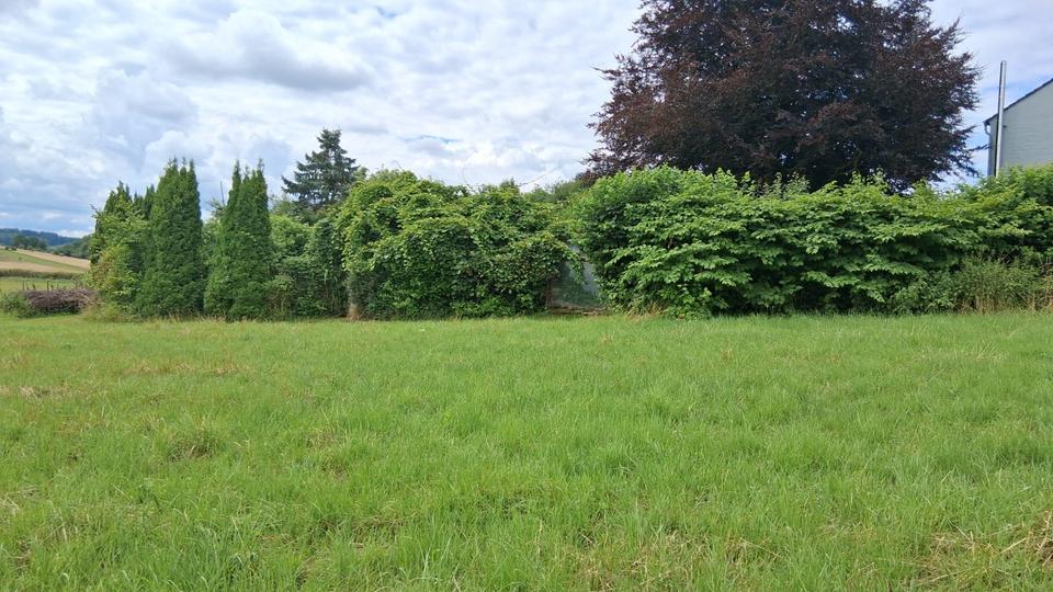 Mehrfamilienhaus, Wohnhaus Detmold Hakedahl - 10 Zimmer, 240 m&sup2;, 398.000&euro; | Angebot:25947813