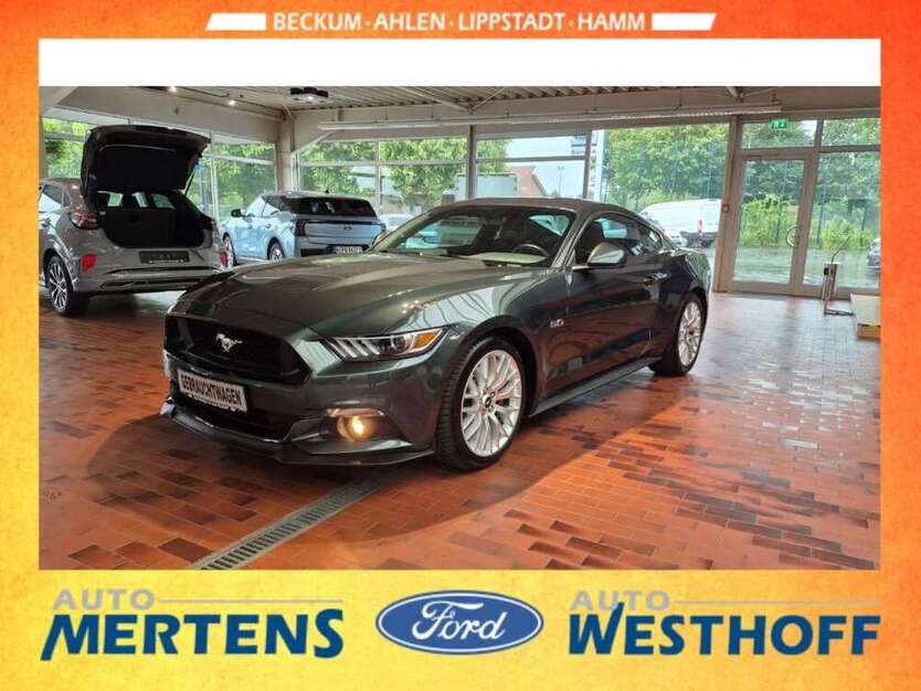 Mustang