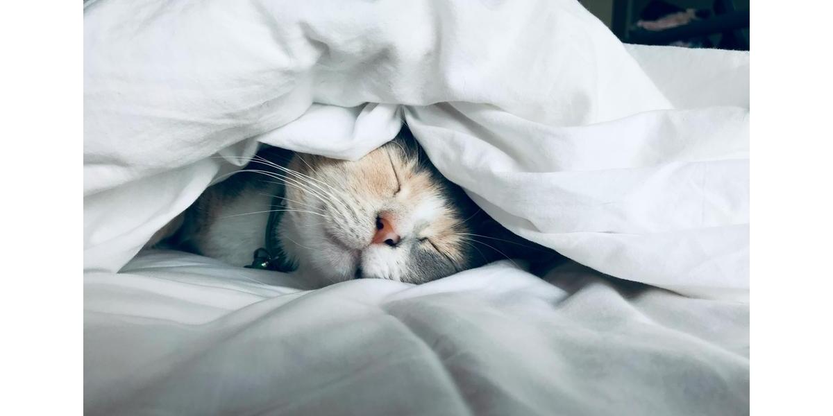 Einfamilienhaus Paderborn - 4 Zimmer, 155 m&sup2;, 1.800&euro; | Angebot:24654270