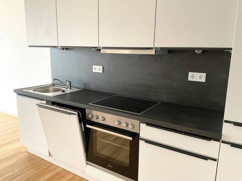 Helle 2-Zimmer-Wohnung mit Terrasse, moderne Neubau-Ausstattung mit Echtholzparkett + Einbauküche 2 zimmer
