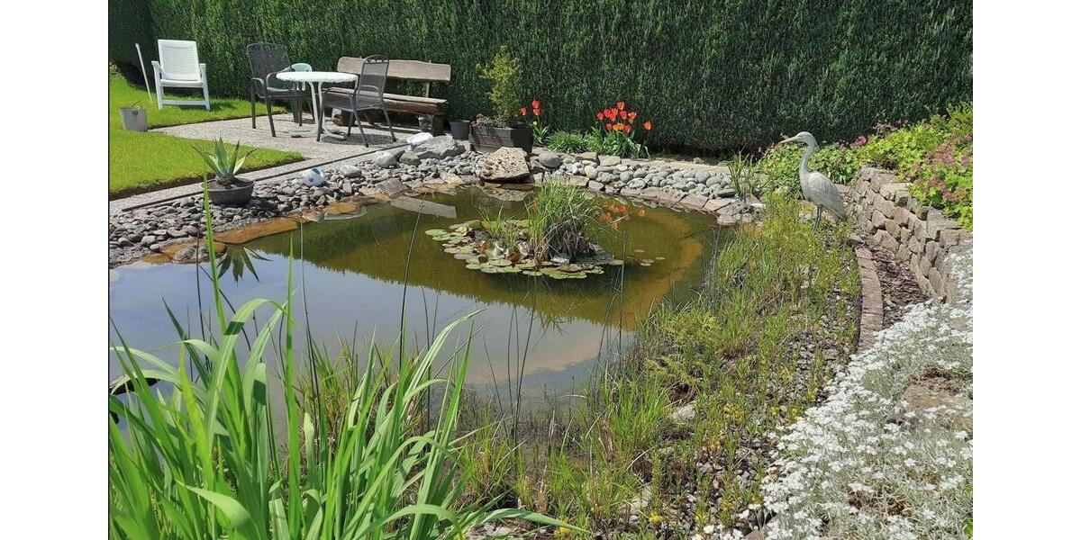 Einfamilienhaus Horn-Bad Meinberg Bad Meinberg - 9 Zimmer, 210 m&sup2;, 347.900&euro; | Angebot:27618034