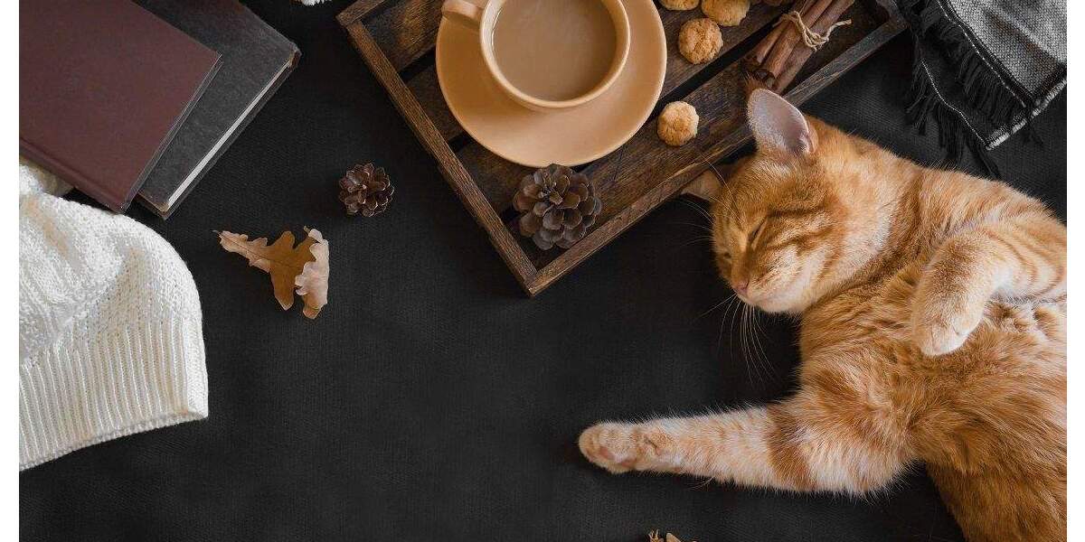 Einfamilienhaus Bad Wünnenberg - 5 Zimmer, 130 m&sup2;, 325.000&euro; | Angebot:25800885