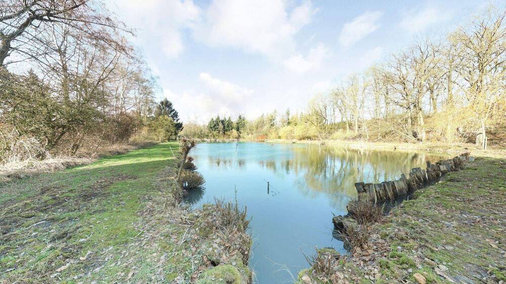 Mehrfamilienhaus, Wohnhaus Horn-Bad Meinberg Billerbeck - 1 Zimmer, 430 m&sup2;, 399.000&euro; | Angebot:26260826