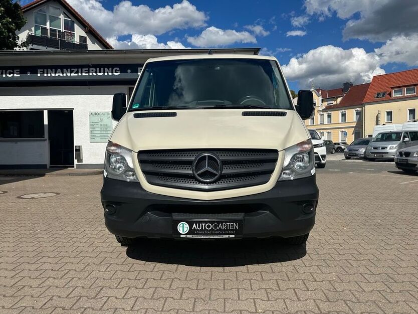Sprinter