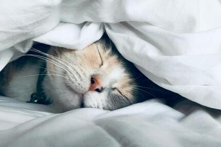 Ohne Eigenkapital möglich. Mietkaufimmobilie abzugeben. 4 zimmer