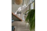 Einfamilienhaus Paderborn - 5 Zimmer, 150 m&sup2;, 699.000&euro; | Angebot:27242747