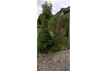 Erdgeschoßwohnung Paderborn - 2.5 Zimmer, 81 m&sup2;, 1.000&euro; | Angebot:27609106