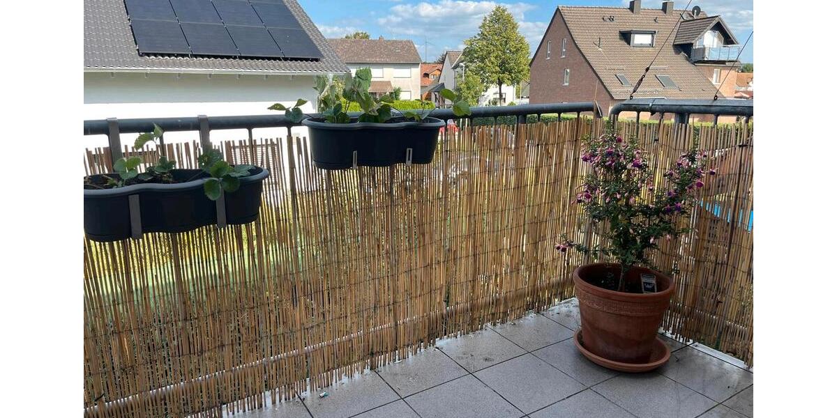 Etagenwohnung Schlangen - 2 Zimmer, 60 m&sup2;, 500&euro; | Angebot:27590845